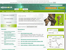 Tablet Screenshot of bossafx.pl
